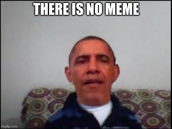 There is no meme | THERE IS NO MEME | image tagged in there is no meme | made w/ Imgflip meme maker