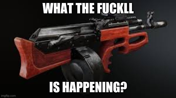 Cursed Gun | WHAT THE FUCKLL; IS HAPPENING? | image tagged in cursed gun | made w/ Imgflip meme maker