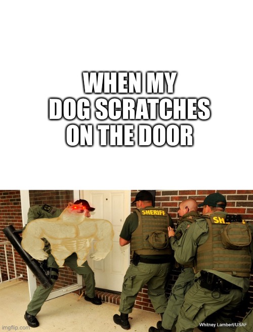 Dogo | WHEN MY DOG SCRATCHES ON THE DOOR | image tagged in blank white template,fbi open up | made w/ Imgflip meme maker