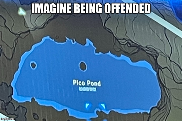 Pico pond | IMAGINE BEING OFFENDED | image tagged in pico pond | made w/ Imgflip meme maker