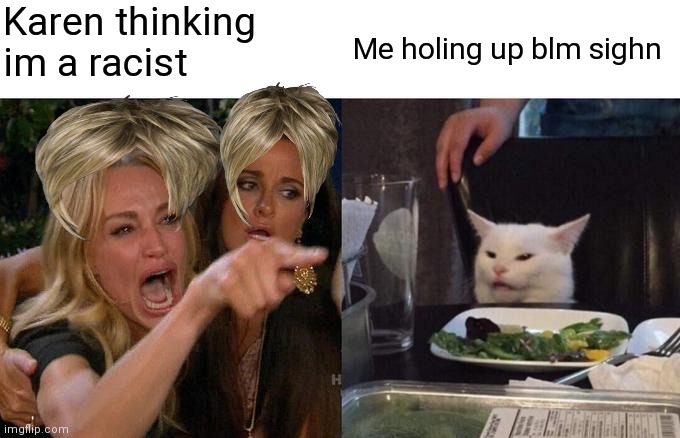 Woman Yelling At Cat Meme | Karen thinking im a racist; Me holing up blm sighn | image tagged in memes,woman yelling at cat | made w/ Imgflip meme maker