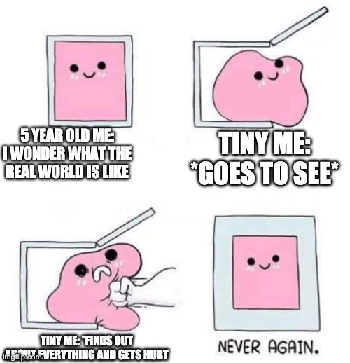 The trauma is juicy | 5 YEAR OLD ME: I WONDER WHAT THE REAL WORLD IS LIKE; TINY ME: *GOES TO SEE*; TINY ME: *FINDS OUT ABOUT EVERYTHING AND GETS HURT | image tagged in never again | made w/ Imgflip meme maker