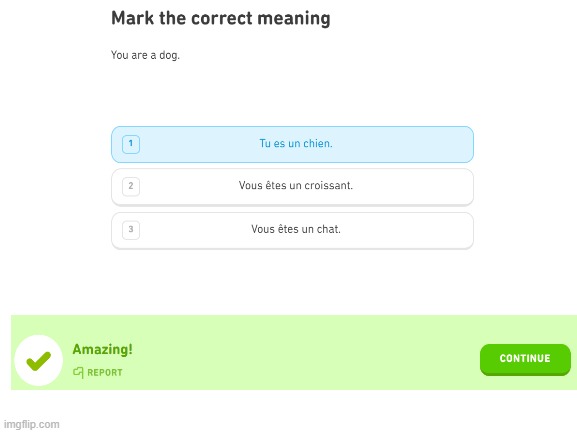 Duolingo calling me a dog | image tagged in duolingo bird,cursed | made w/ Imgflip meme maker