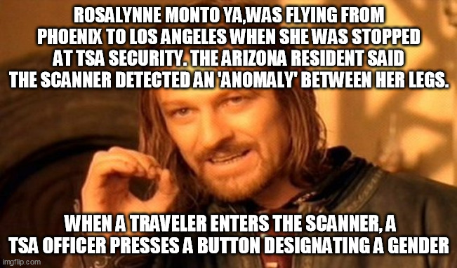 One Does Not Simply Meme | ROSALYNNE MONTO YA,WAS FLYING FROM PHOENIX TO LOS ANGELES WHEN SHE WAS STOPPED AT TSA SECURITY. THE ARIZONA RESIDENT SAID THE SCANNER DETECTED AN 'ANOMALY' BETWEEN HER LEGS. WHEN A TRAVELER ENTERS THE SCANNER, A TSA OFFICER PRESSES A BUTTON DESIGNATING A GENDER | image tagged in memes,one does not simply | made w/ Imgflip meme maker