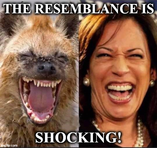 harris | THE RESEMBLANCE IS; SHOCKING! | image tagged in harris | made w/ Imgflip meme maker