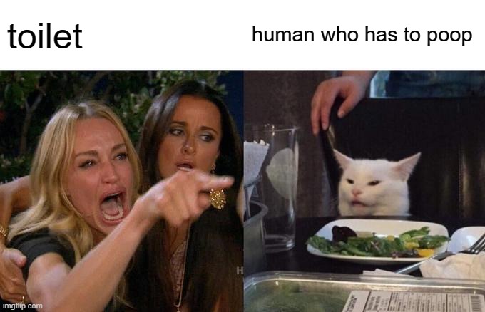 Woman Yelling At Cat Meme | toilet; human who has to poop | image tagged in memes,woman yelling at cat | made w/ Imgflip meme maker
