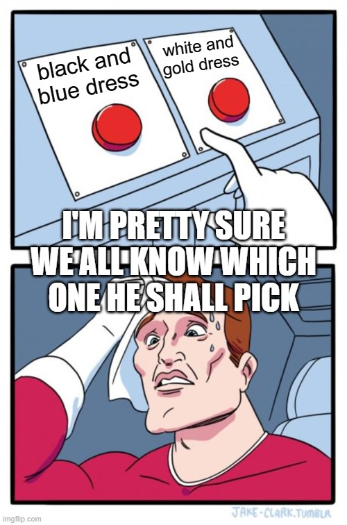 Two Buttons Meme | white and gold dress; black and blue dress; I'M PRETTY SURE WE ALL KNOW WHICH ONE HE SHALL PICK | image tagged in memes,two buttons | made w/ Imgflip meme maker