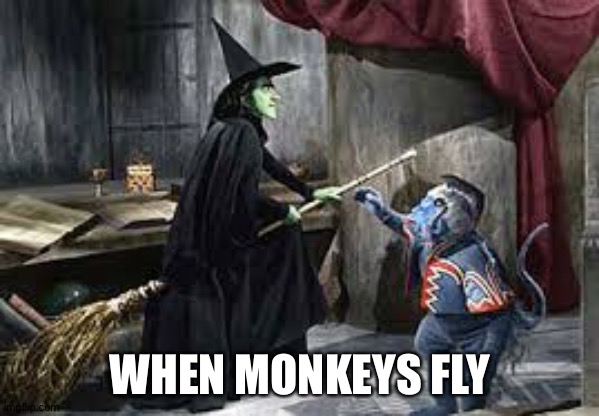 flying monkey | WHEN MONKEYS FLY | image tagged in flying monkey | made w/ Imgflip meme maker