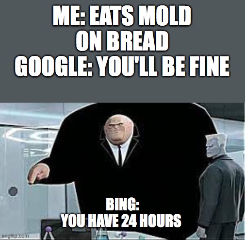 ME: EATS MOLD ON BREAD
GOOGLE: YOU'LL BE FINE; BING:
YOU HAVE 24 HOURS | image tagged in memes | made w/ Imgflip meme maker