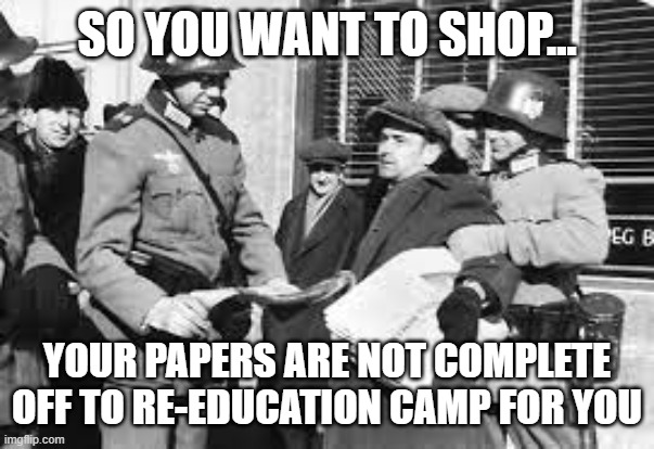 Covid Passport | SO YOU WANT TO SHOP... YOUR PAPERS ARE NOT COMPLETE
OFF TO RE-EDUCATION CAMP FOR YOU | image tagged in covid19,conspiracy theories,control,george orwell,1984 | made w/ Imgflip meme maker