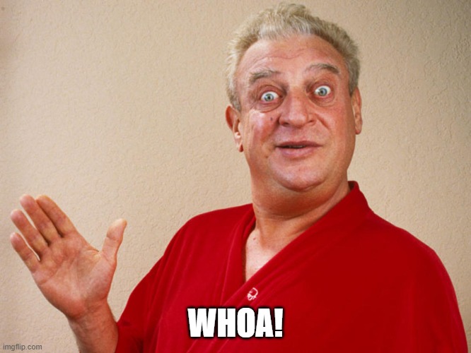 Rodney Dangerfield For Pres | WHOA! | image tagged in rodney dangerfield for pres | made w/ Imgflip meme maker