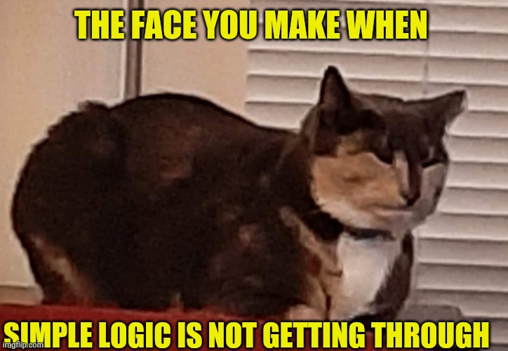 Annoyed face Memes - Imgflip