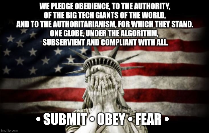 Big Tech Nation | • SUBMIT • OBEY • FEAR • | image tagged in big tech,big brother,google,american flag,hong kong | made w/ Imgflip meme maker