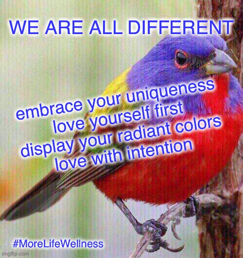 Love Yourself First | WE ARE ALL DIFFERENT; embrace your uniqueness
love yourself first
display your radiant colors
love with intention; #MoreLifeWellness | image tagged in love,i love you,selfies,hope,motivation | made w/ Imgflip meme maker