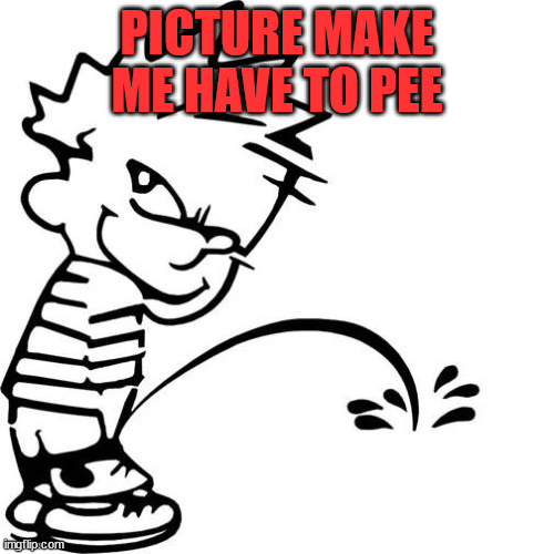 Calvin Peeing | PICTURE MAKE ME HAVE TO PEE | image tagged in calvin peeing | made w/ Imgflip meme maker