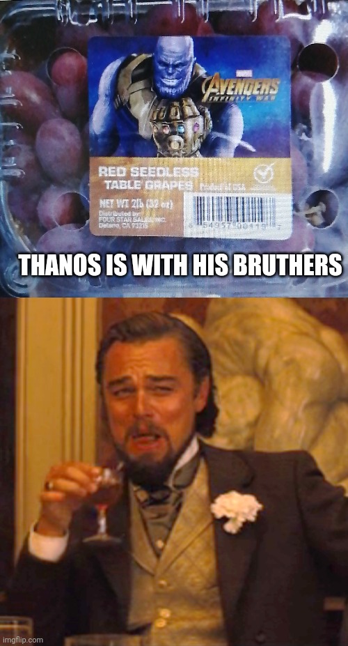I am one with the grape army! | THANOS IS WITH HIS BRUTHERS | image tagged in memes,laughing leo | made w/ Imgflip meme maker