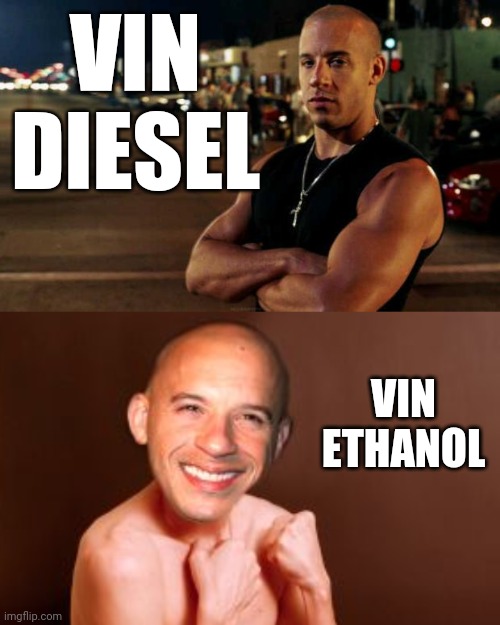 I'm not really sure. | VIN DIESEL; VIN ETHANOL | image tagged in vin diesel | made w/ Imgflip meme maker