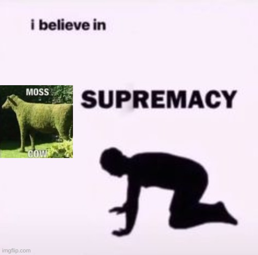 I believe in supremacy | image tagged in i believe in supremacy | made w/ Imgflip meme maker