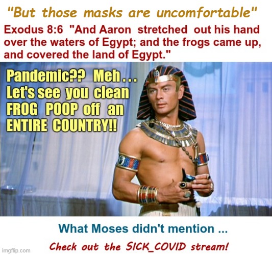 Don't like masks? IT COULD BE WORSE! | "But those masks are uncomfortable"; Exodus 8:6 "And Aaron stretched out his hand over the waters of Egypt and the frogs came up, and covered the land of Egypt." Pandemic?? Meh ... Let's see you clean FROG POOP off an ENTIRE COUNTRY!! What Moses didn't mention ... Check out the SICK_COVID stream! | image tagged in sick_covid stream,dark humor,passover,covid,rick75230,masks | made w/ Imgflip meme maker
