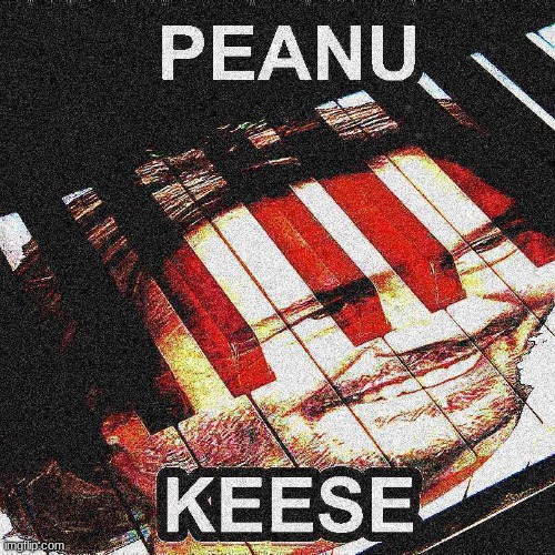 peanu keys | image tagged in peanu keese | made w/ Imgflip meme maker