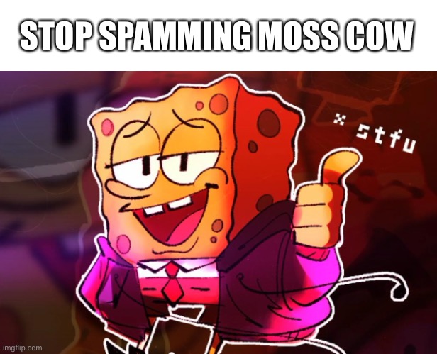-_- | STOP SPAMMING MOSS COW | image tagged in spongebob stfu | made w/ Imgflip meme maker