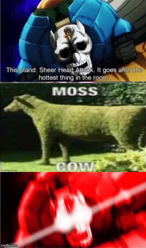 Sheer heart attack goes for the hottest thing in the room | image tagged in sheer heart attack goes for the hottest thing in the room | made w/ Imgflip meme maker