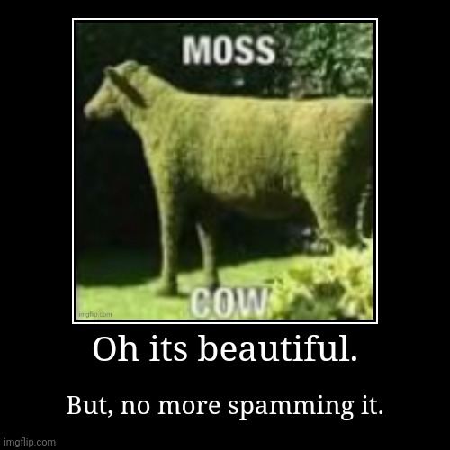 image tagged in funny,demotivationals | made w/ Imgflip demotivational maker