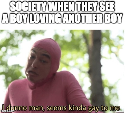I dunno man seems kinda gay to me | SOCIETY WHEN THEY SEE A BOY LOVING ANOTHER BOY | image tagged in i dunno man seems kinda gay to me | made w/ Imgflip meme maker
