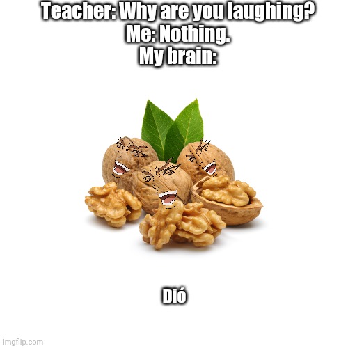 Dio the Walnut- | Teacher: Why are you laughing?
Me: Nothing.
My brain:; Dió | image tagged in memes | made w/ Imgflip meme maker