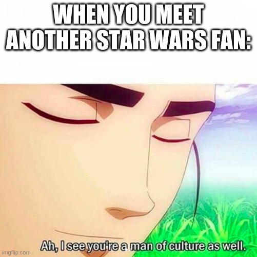 Ah,I see you are a man of culture as well | WHEN YOU MEET ANOTHER STAR WARS FAN: | image tagged in ah i see you are a man of culture as well | made w/ Imgflip meme maker