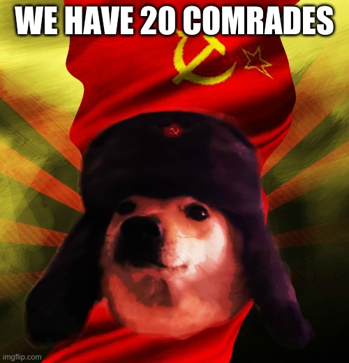 C O M R A D E | WE HAVE 20 COMRADES | image tagged in comrade doge | made w/ Imgflip meme maker