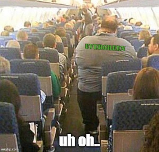 Evergreen Airlines | EVERGREEN; uh oh.. | image tagged in evergreen,fat guy,blocked,suez canal,restricted | made w/ Imgflip meme maker