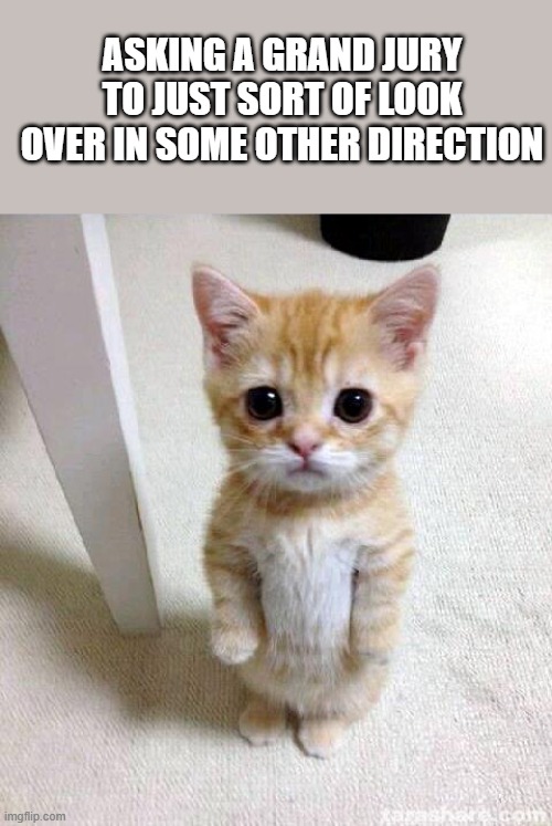 Cute Cat Meme | ASKING A GRAND JURY TO JUST SORT OF LOOK OVER IN SOME OTHER DIRECTION | image tagged in memes,cute cat | made w/ Imgflip meme maker