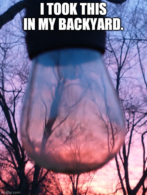 I TOOK THIS IN MY BACKYARD. | image tagged in light bulb | made w/ Imgflip meme maker