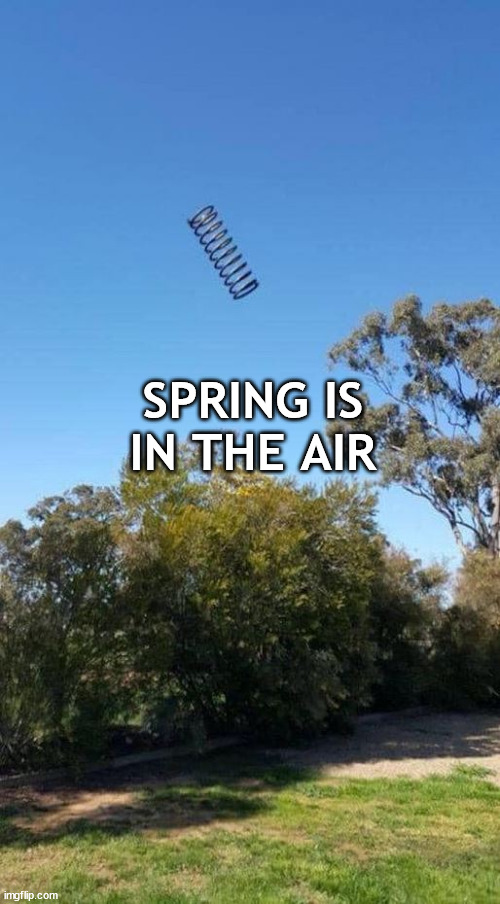 Spring is in the air |  SPRING IS IN THE AIR | image tagged in spring,pun,bad pun,funny,expression | made w/ Imgflip meme maker