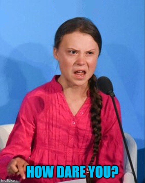 Greta Thunberg how dare you | HOW DARE YOU? | image tagged in greta thunberg how dare you | made w/ Imgflip meme maker