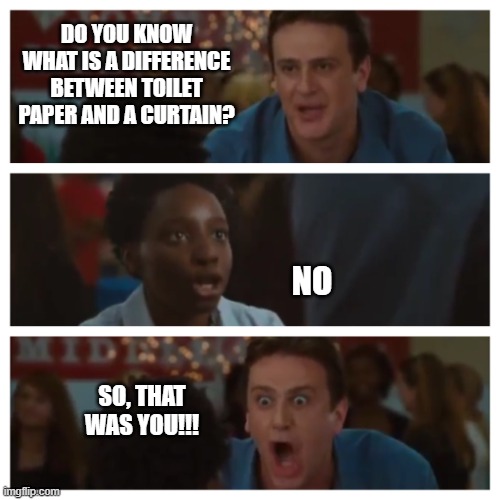It's the Only Argument I Need Shawn! | DO YOU KNOW WHAT IS A DIFFERENCE BETWEEN TOILET PAPER AND A CURTAIN? NO; SO, THAT WAS YOU!!! | image tagged in it's the only argument i need shawn | made w/ Imgflip meme maker