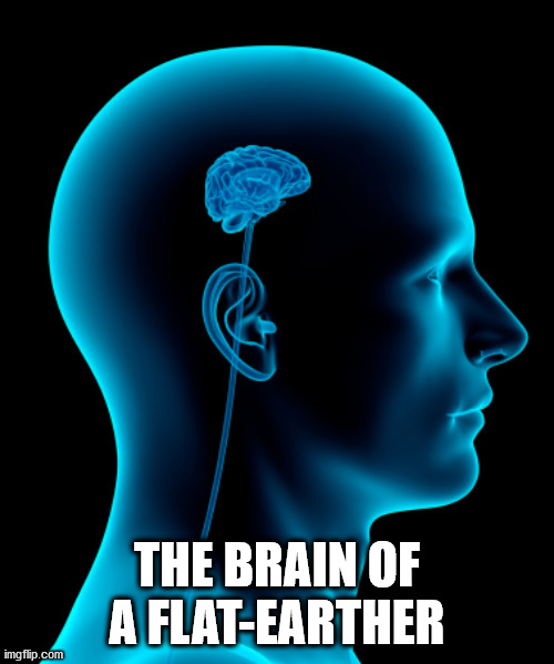 if they have a brain |  THE BRAIN OF A FLAT-EARTHER | image tagged in small brain | made w/ Imgflip meme maker