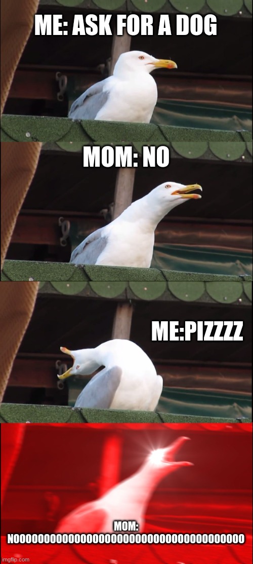 This Happen To U? | ME: ASK FOR A DOG; MOM: NO; ME:PIZZZZ; MOM: NOOOOOOOOOOOOOOOOOOOOOOOOOOOOOOOOOOOOOO | image tagged in memes,inhaling seagull | made w/ Imgflip meme maker