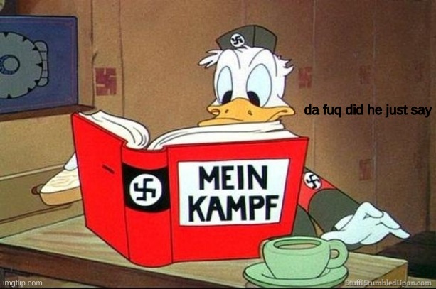 Ah yes the word Fuhrer | da fuq did he just say | image tagged in donald duck mein kampf | made w/ Imgflip meme maker