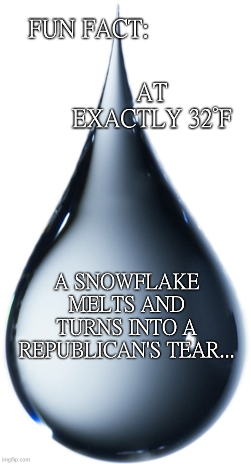 Snowflakes melt | FUN FACT:; AT EXACTLY 32°F; A SNOWFLAKE MELTS AND TURNS INTO A REPUBLICAN'S TEAR... | image tagged in republican tears,trump lost,snowflakes,cry baby,democracy wins | made w/ Imgflip meme maker