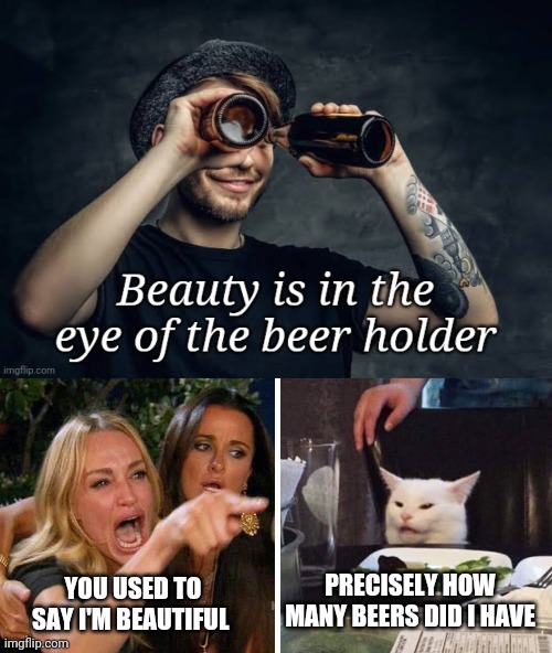 Beer Holder |  PRECISELY HOW MANY BEERS DID I HAVE; YOU USED TO SAY I'M BEAUTIFUL | image tagged in smudge the cat,beauty,hold my beer,beer goggles,beers,funny memes | made w/ Imgflip meme maker