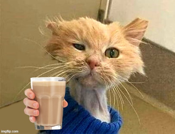 image tagged in wtf-cat | made w/ Imgflip meme maker
