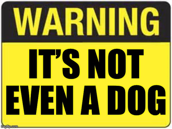 blank warning sign | IT’S NOT EVEN A DOG | image tagged in blank warning sign | made w/ Imgflip meme maker