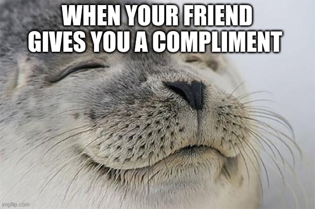 Self-Confidence Level: ∞ | WHEN YOUR FRIEND GIVES YOU A COMPLIMENT | image tagged in memes,satisfied seal | made w/ Imgflip meme maker