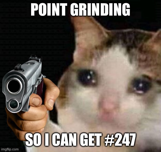 Sad cat pointing gun | POINT GRINDING; SO I CAN GET #247 | image tagged in sad cat pointing gun | made w/ Imgflip meme maker