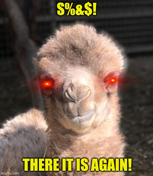 Why does this camel keep stalking Iaintacamel? | S%&$! THERE IT IS AGAIN! | image tagged in camels,what,are they,thinking | made w/ Imgflip meme maker