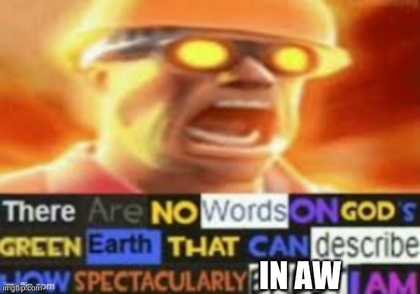 There are no words on god's green earth | IN AW | image tagged in there are no words on god's green earth | made w/ Imgflip meme maker