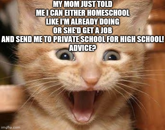 REEEEEEEEEE | MY MOM JUST TOLD ME I CAN EITHER HOMESCHOOL LIKE I'M ALREADY DOING OR SHE'D GET A JOB AND SEND ME TO PRIVATE SCHOOL FOR HIGH SCHOOL!
ADVICE? | image tagged in memes,excited cat | made w/ Imgflip meme maker