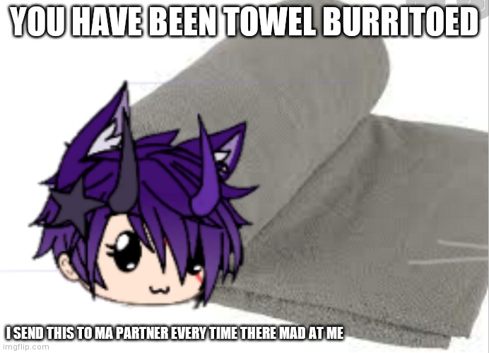 You just got towel burritoed | YOU HAVE BEEN TOWEL BURRITOED; I SEND THIS TO MA PARTNER EVERY TIME THERE MAD AT ME | image tagged in meme | made w/ Imgflip meme maker